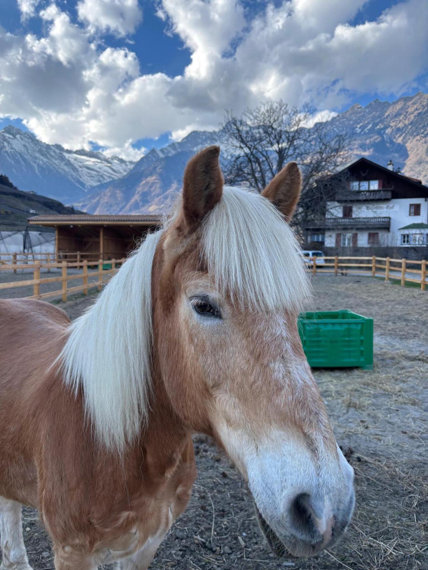 Schoene Wohnung Am Stadtrand Von Meran Valentinhof Luaran gambar
